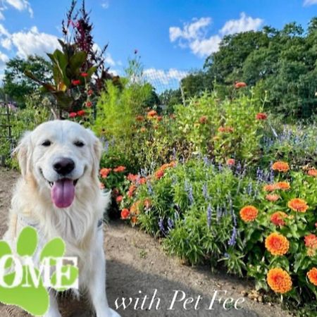 Wildflower Inn Plymouth Zewnętrze zdjęcie