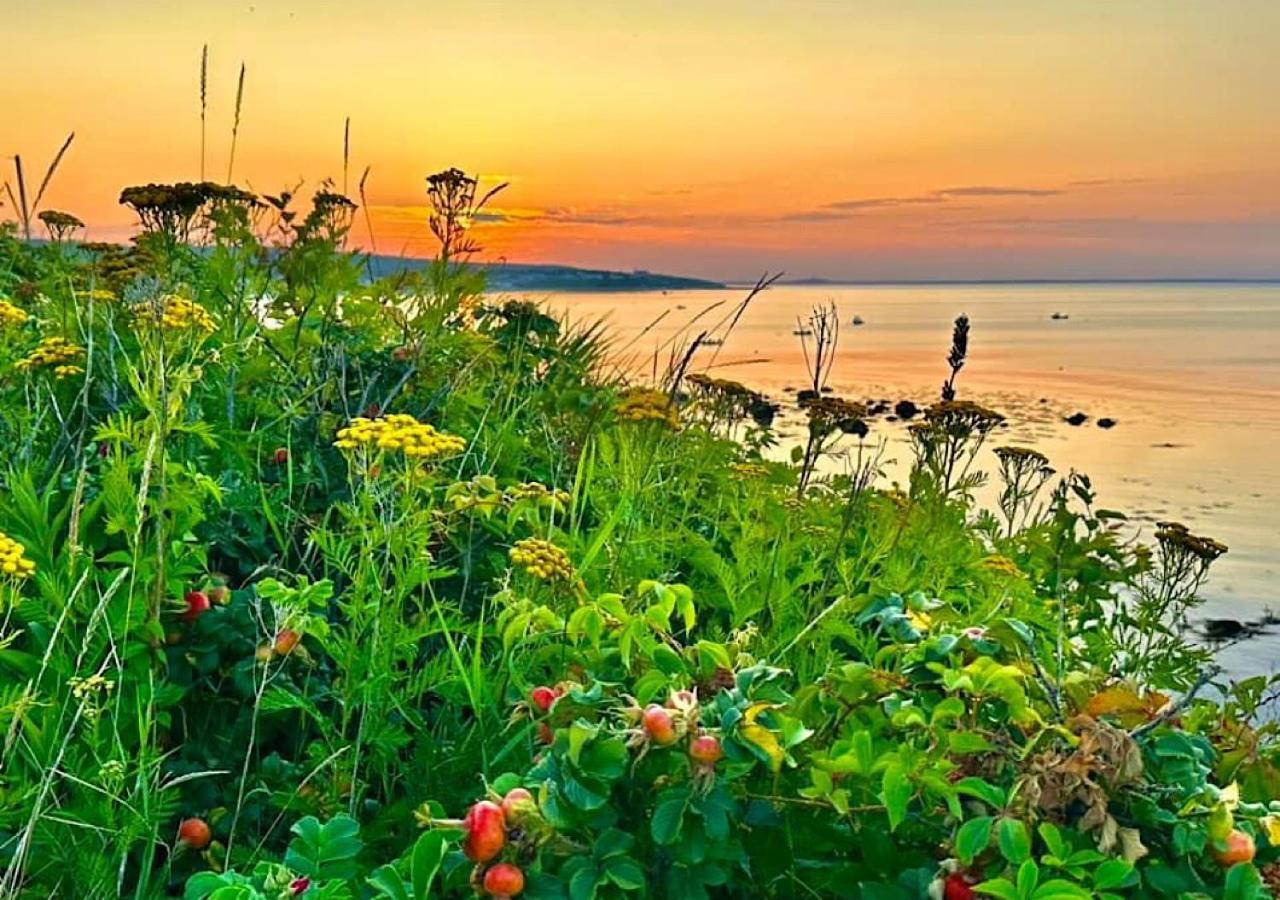 Wildflower Inn Plymouth Zewnętrze zdjęcie