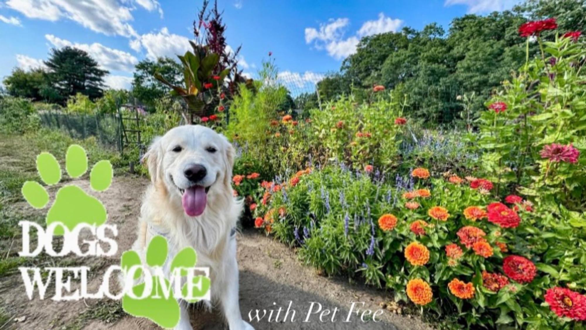 Wildflower Inn Plymouth Zewnętrze zdjęcie